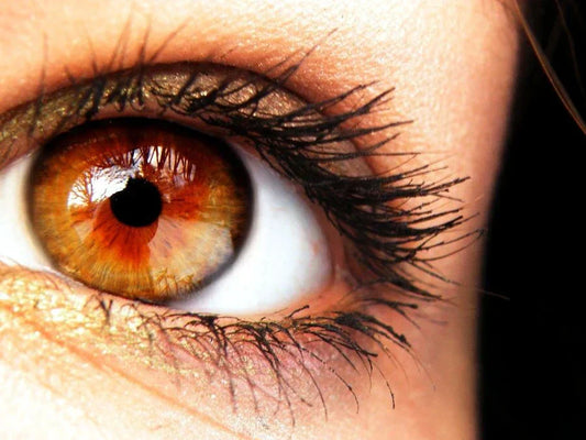 Amber Eyes: How Rare Are They and What Causes Them?