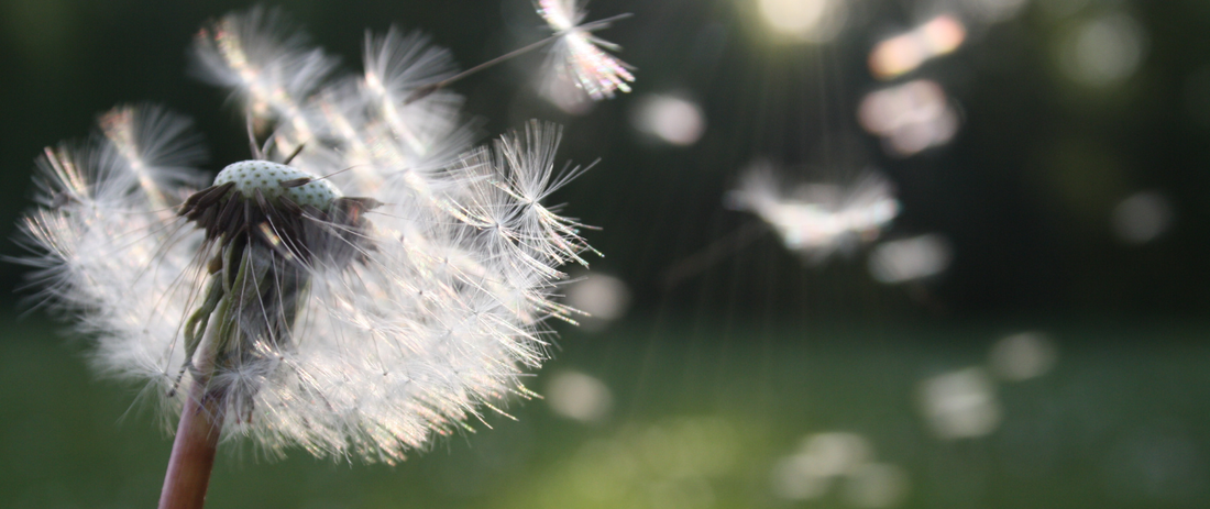 Can Wind Make My Contact Lenses Fall Out?