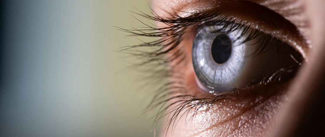 Where to Buy Multifocal Contact Lenses Online